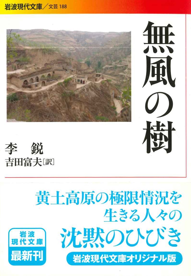 無風の樹(岩波現代文庫)