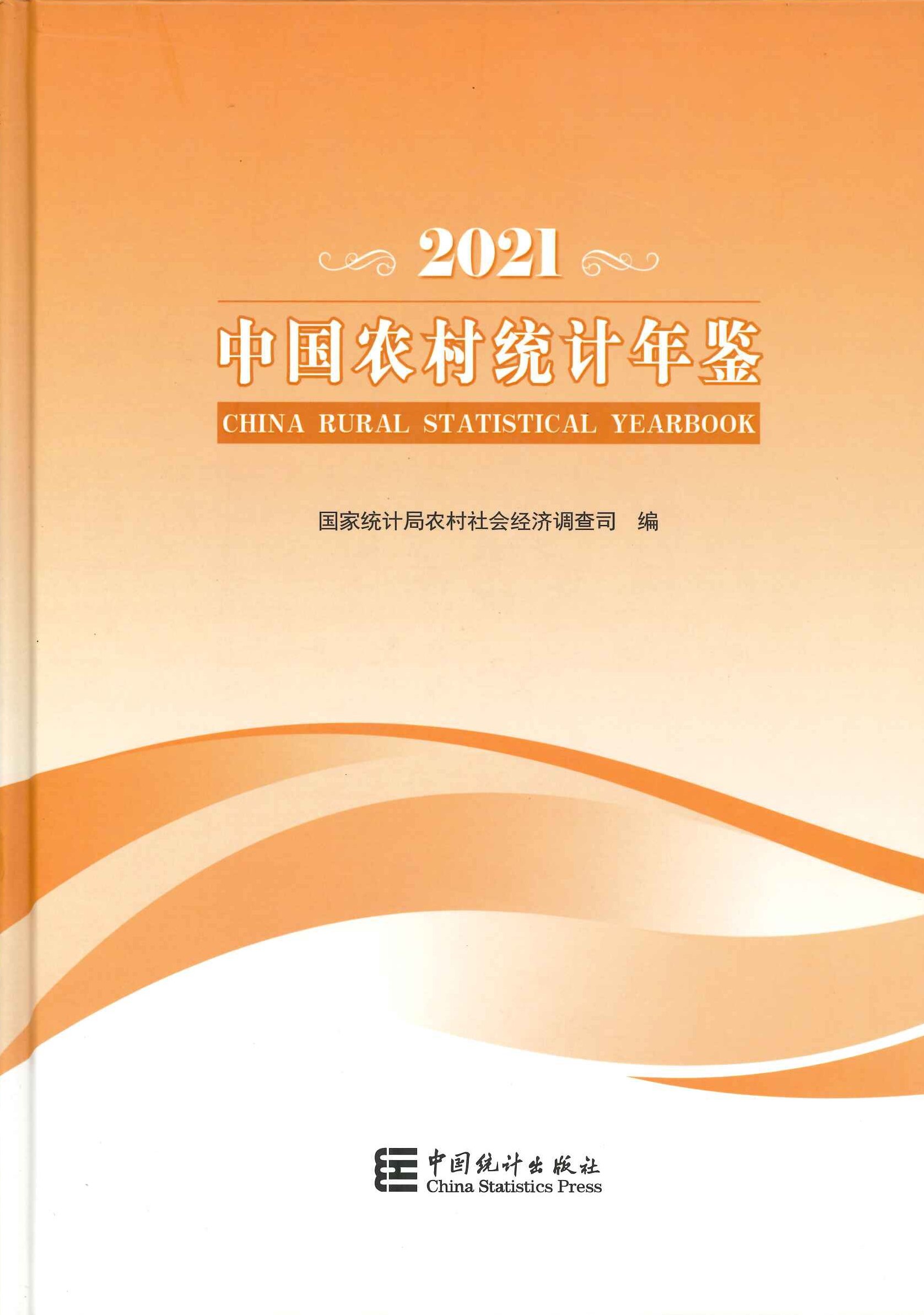 中国农村统计年鉴2021