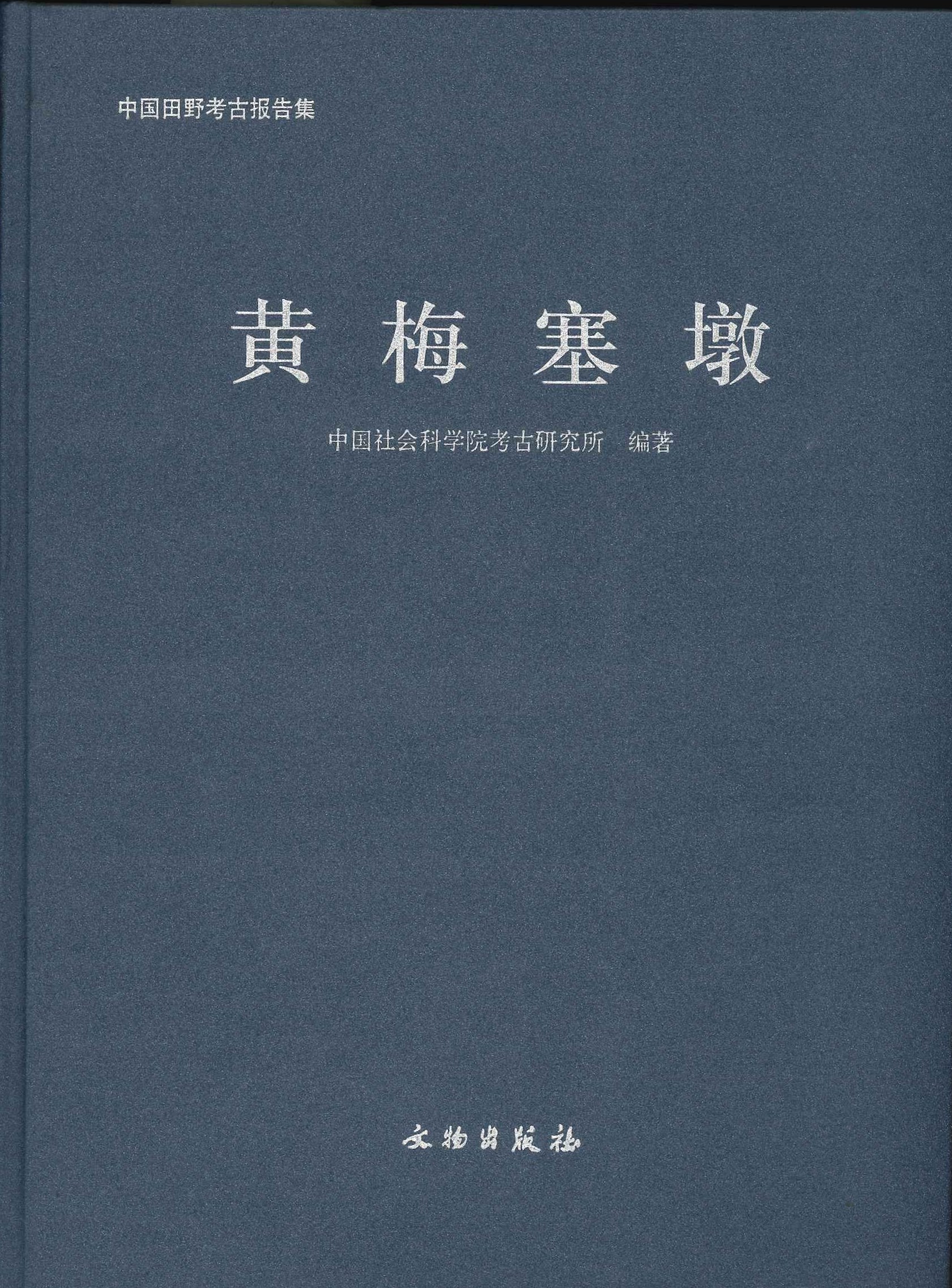 黄梅塞墩(中国田野考古报告集)