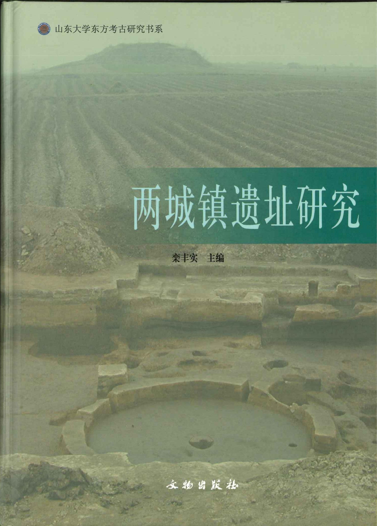 两城镇遗址研究
