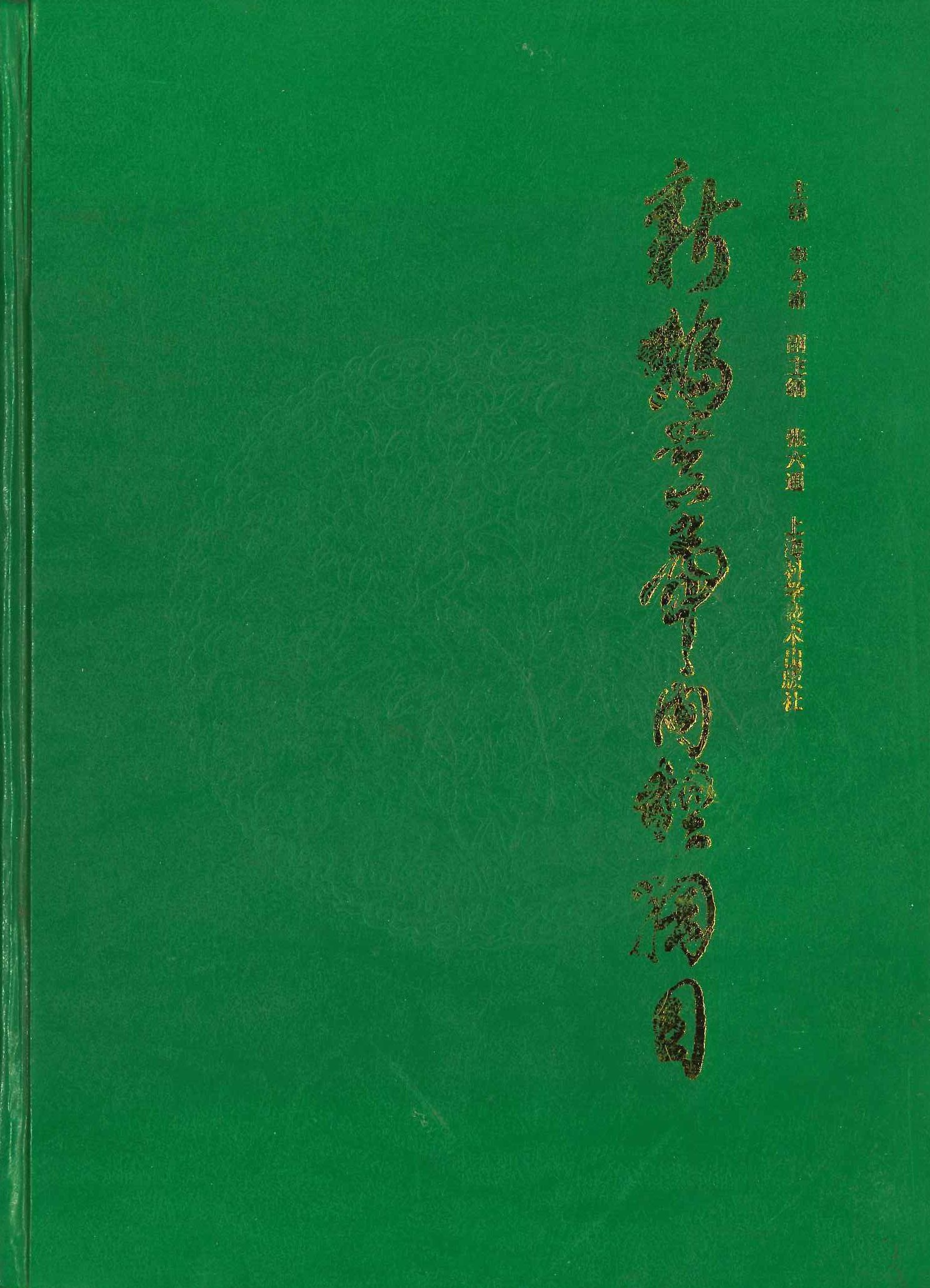 新编皇帝内经纲目