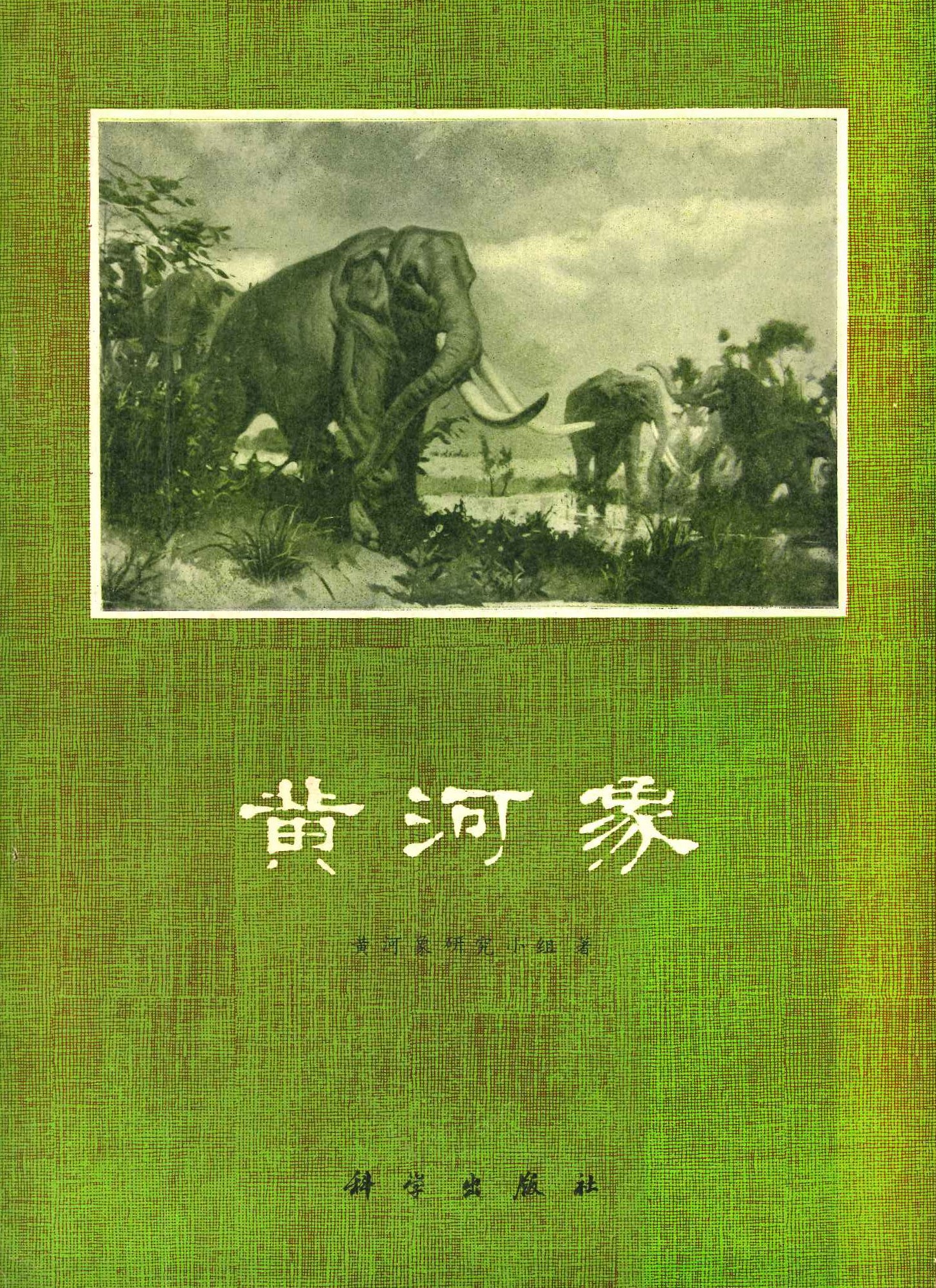 黄河象